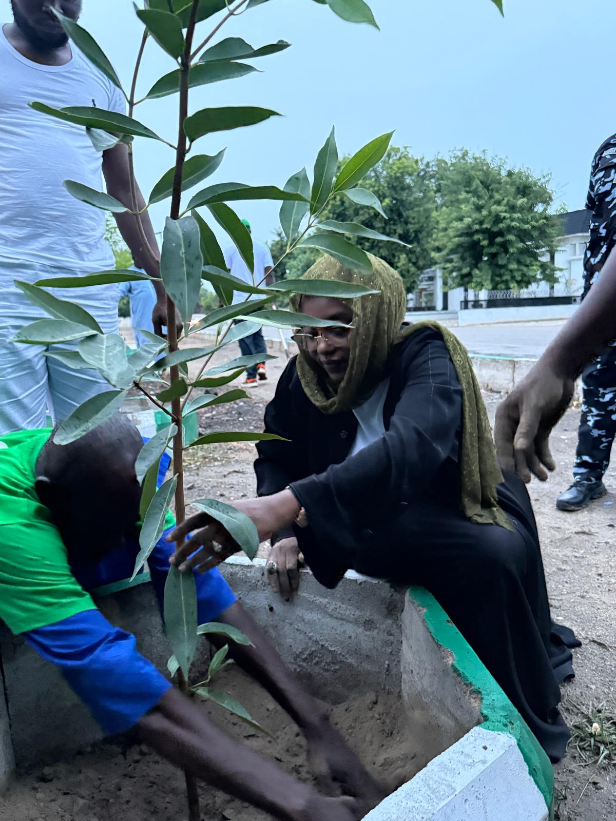 Dark Green Leaves Initiative field activity
